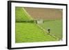 Farmer Surveying His Smallholding in the Fertile Hills of Central Java-Annie Owen-Framed Photographic Print