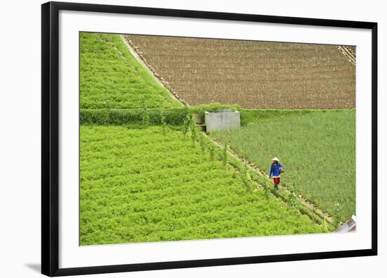 Farmer Surveying His Smallholding in the Fertile Hills of Central Java-Annie Owen-Framed Photographic Print