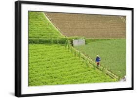 Farmer Surveying His Smallholding in the Fertile Hills of Central Java-Annie Owen-Framed Photographic Print