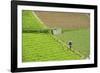 Farmer Surveying His Smallholding in the Fertile Hills of Central Java-Annie Owen-Framed Photographic Print