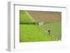 Farmer Surveying His Smallholding in the Fertile Hills of Central Java-Annie Owen-Framed Photographic Print