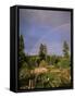 Farmer Tending Organic Vegetable Garden, Vashon Island, Puget Sound, Washington State, USA-Aaron McCoy-Framed Stretched Canvas