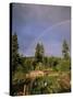 Farmer Tending Organic Vegetable Garden, Vashon Island, Puget Sound, Washington State, USA-Aaron McCoy-Stretched Canvas