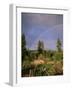 Farmer Tending Organic Vegetable Garden, Vashon Island, Puget Sound, Washington State, USA-Aaron McCoy-Framed Photographic Print