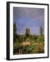 Farmer Tending Organic Vegetable Garden, Vashon Island, Puget Sound, Washington State, USA-Aaron McCoy-Framed Photographic Print