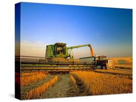 Farmer Unloading Wheat from Combine Near Colfax, Washington, USA-Chuck Haney-Stretched Canvas