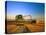 Farmer Unloading Wheat from Combine Near Colfax, Washington, USA-Chuck Haney-Stretched Canvas