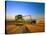 Farmer Unloading Wheat from Combine Near Colfax, Washington, USA-Chuck Haney-Stretched Canvas