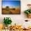 Farmer Unloading Wheat from Combine Near Colfax, Washington, USA-Chuck Haney-Framed Stretched Canvas displayed on a wall