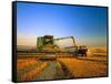 Farmer Unloading Wheat from Combine Near Colfax, Washington, USA-Chuck Haney-Framed Stretched Canvas