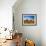 Farmer Unloading Wheat from Combine Near Colfax, Washington, USA-Chuck Haney-Framed Photographic Print displayed on a wall