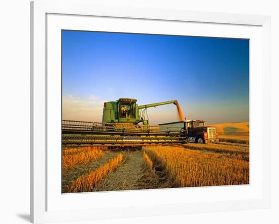 Farmer Unloading Wheat from Combine Near Colfax, Washington, USA-Chuck Haney-Framed Photographic Print