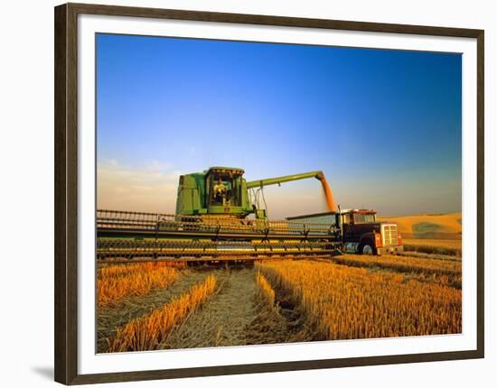 Farmer Unloading Wheat from Combine Near Colfax, Washington, USA-Chuck Haney-Framed Photographic Print