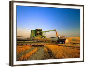 Farmer Unloading Wheat from Combine Near Colfax, Washington, USA-Chuck Haney-Framed Photographic Print