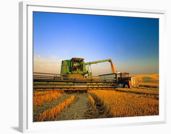 Farmer Unloading Wheat from Combine Near Colfax, Washington, USA-Chuck Haney-Framed Photographic Print