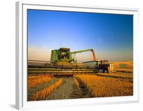 Farmer Unloading Wheat from Combine Near Colfax, Washington, USA-Chuck Haney-Framed Photographic Print