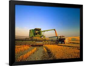 Farmer Unloading Wheat from Combine Near Colfax, Washington, USA-Chuck Haney-Framed Photographic Print