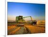 Farmer Unloading Wheat from Combine Near Colfax, Washington, USA-Chuck Haney-Framed Photographic Print