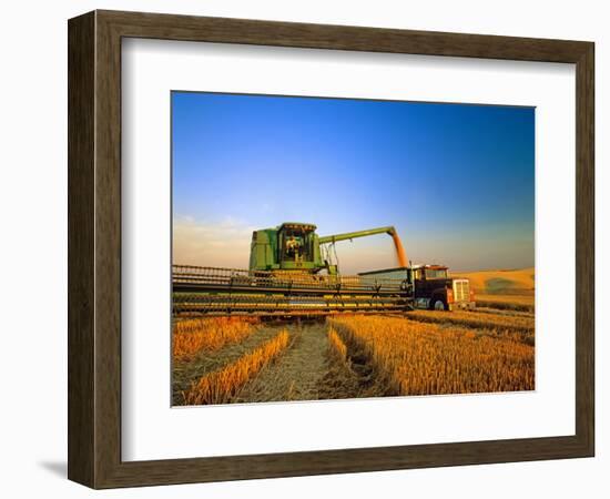 Farmer Unloading Wheat from Combine Near Colfax, Washington, USA-Chuck Haney-Framed Photographic Print