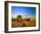 Farmer Unloading Wheat from Combine Near Colfax, Washington, USA-Chuck Haney-Framed Photographic Print