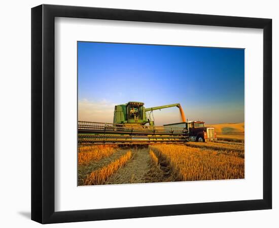 Farmer Unloading Wheat from Combine Near Colfax, Washington, USA-Chuck Haney-Framed Photographic Print