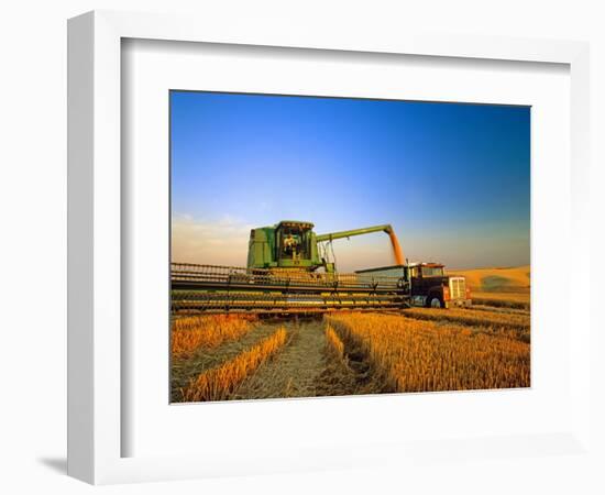 Farmer Unloading Wheat from Combine Near Colfax, Washington, USA-Chuck Haney-Framed Photographic Print