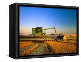 Farmer Unloading Wheat from Combine Near Colfax, Washington, USA-Chuck Haney-Framed Stretched Canvas