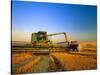 Farmer Unloading Wheat from Combine Near Colfax, Washington, USA-Chuck Haney-Stretched Canvas