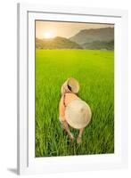 Farmer wearing a conical hat in rice fields, Mai Chau, Hoa Binh, Vietnam, Indochina, Southeast Asia-Alex Robinson-Framed Photographic Print