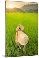 Farmer wearing a conical hat in rice fields, Mai Chau, Hoa Binh, Vietnam, Indochina, Southeast Asia-Alex Robinson-Mounted Photographic Print