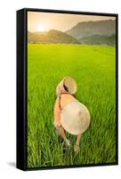 Farmer wearing a conical hat in rice fields, Mai Chau, Hoa Binh, Vietnam, Indochina, Southeast Asia-Alex Robinson-Framed Stretched Canvas