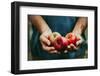 Farmer with Apples-mythja-Framed Photographic Print