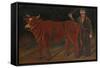 Farmer with Bull, 1916-Niko Pirosmani-Framed Stretched Canvas