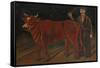 Farmer with Bull, 1916-Niko Pirosmani-Framed Stretched Canvas