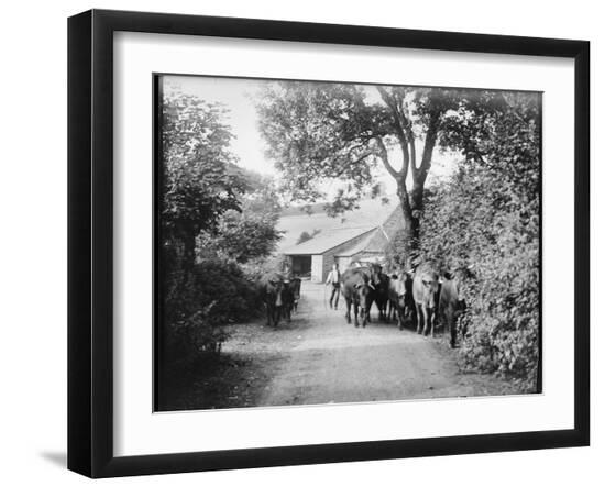 Photographic Print, , large