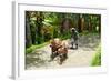 Farmer with Oxen Working in Paddy Field, Rejasa, Penebel, Bali, Indonesia-null-Framed Photographic Print