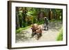 Farmer with Oxen Working in Paddy Field, Rejasa, Penebel, Bali, Indonesia-null-Framed Photographic Print