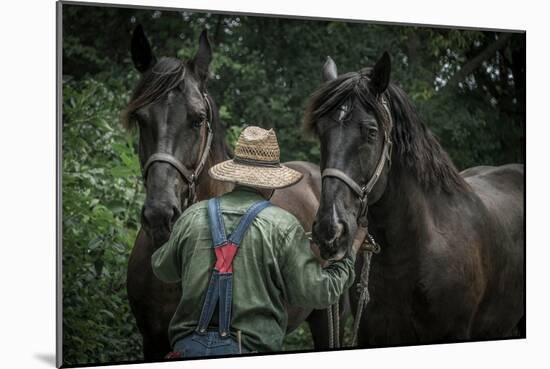 Farmer with Two Horses-Stephen Arens-Mounted Photographic Print