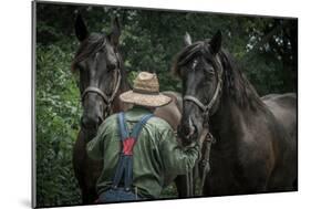 Farmer with Two Horses-Stephen Arens-Mounted Photographic Print