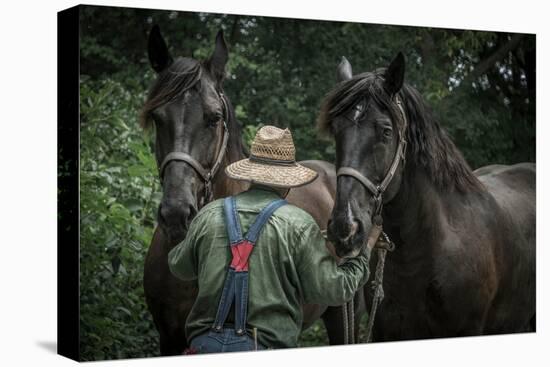 Farmer with Two Horses-Stephen Arens-Stretched Canvas