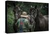 Farmer with Two Horses-Stephen Arens-Stretched Canvas