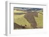 Farmer Working His Field-Gabrielle and Michael Therin-Weise-Framed Photographic Print