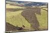 Farmer Working His Field-Gabrielle and Michael Therin-Weise-Mounted Photographic Print