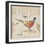 Farmers Feast VI-Anne Tavoletti-Framed Art Print