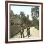 Farmers from the Region of Pollensa (Island of Majorca, the Balearic Islands, Spain), Circa 1895-Leon, Levy et Fils-Framed Photographic Print