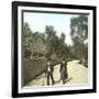 Farmers from the Region of Pollensa (Island of Majorca, the Balearic Islands, Spain), Circa 1895-Leon, Levy et Fils-Framed Photographic Print