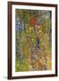 Farmers Garden with Crucifix-Gustav Klimt-Framed Art Print