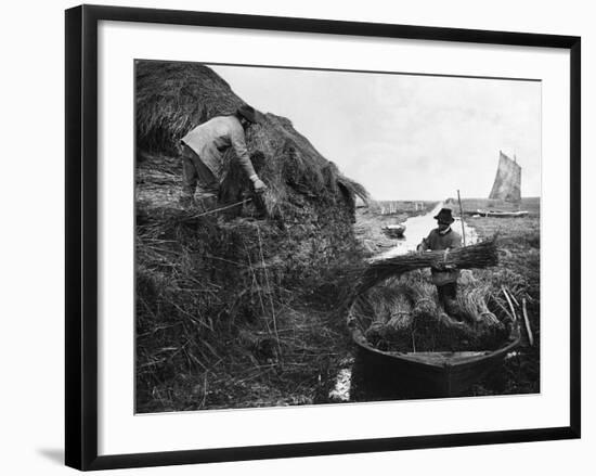 Farmers Gathering Reeds-null-Framed Photographic Print