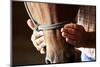 Farmers Hands on Horses Head, Detail Shot of Weathered Hands-Wollwerth Imagery-Mounted Photographic Print