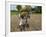 Farmers Harvesting Ripe Rice, Koch Bihar, West Bengal, India, Asia-Eitan Simanor-Framed Photographic Print